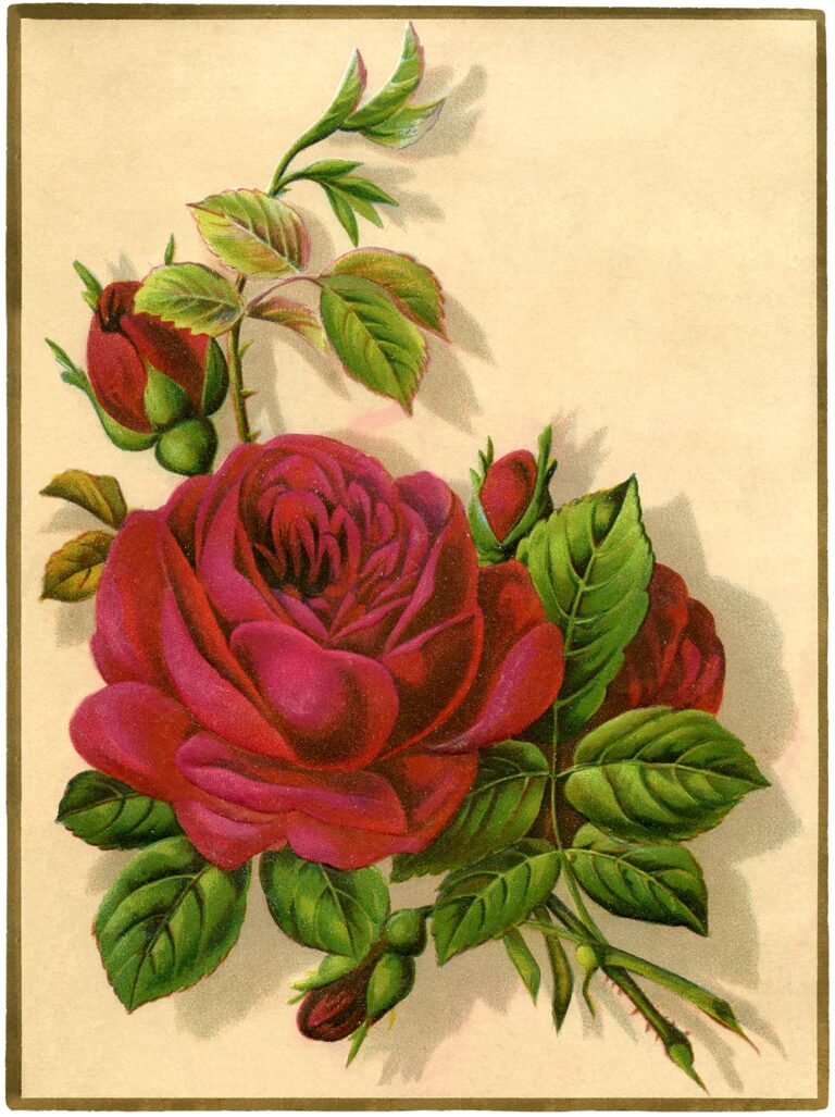 12 Red Rose Images Pictures And Printables The Graphics Fairy