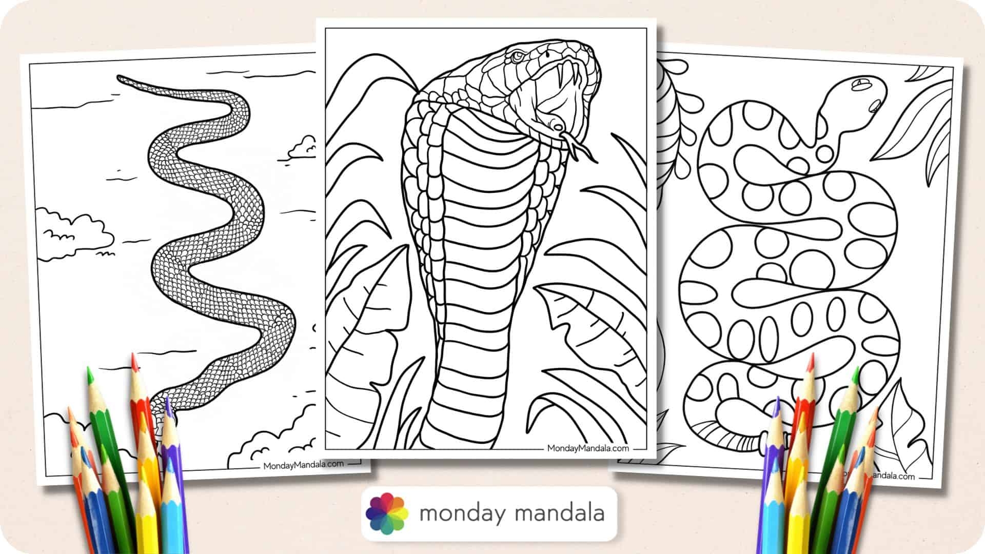 40 Snake Coloring Pages Free PDF Printables 