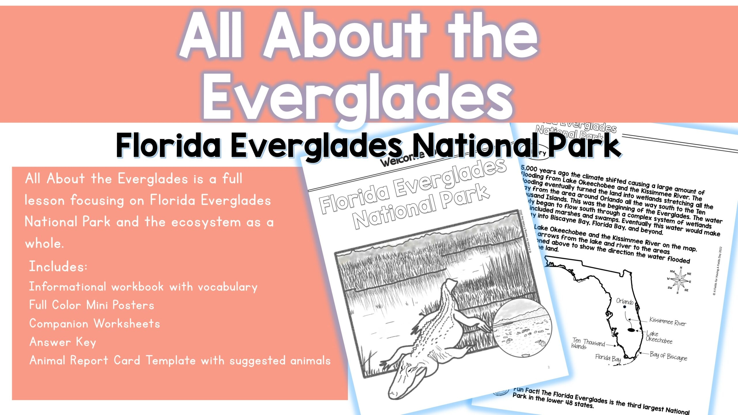 All About The Everglades Florida Everglades National Park Made By Teachers