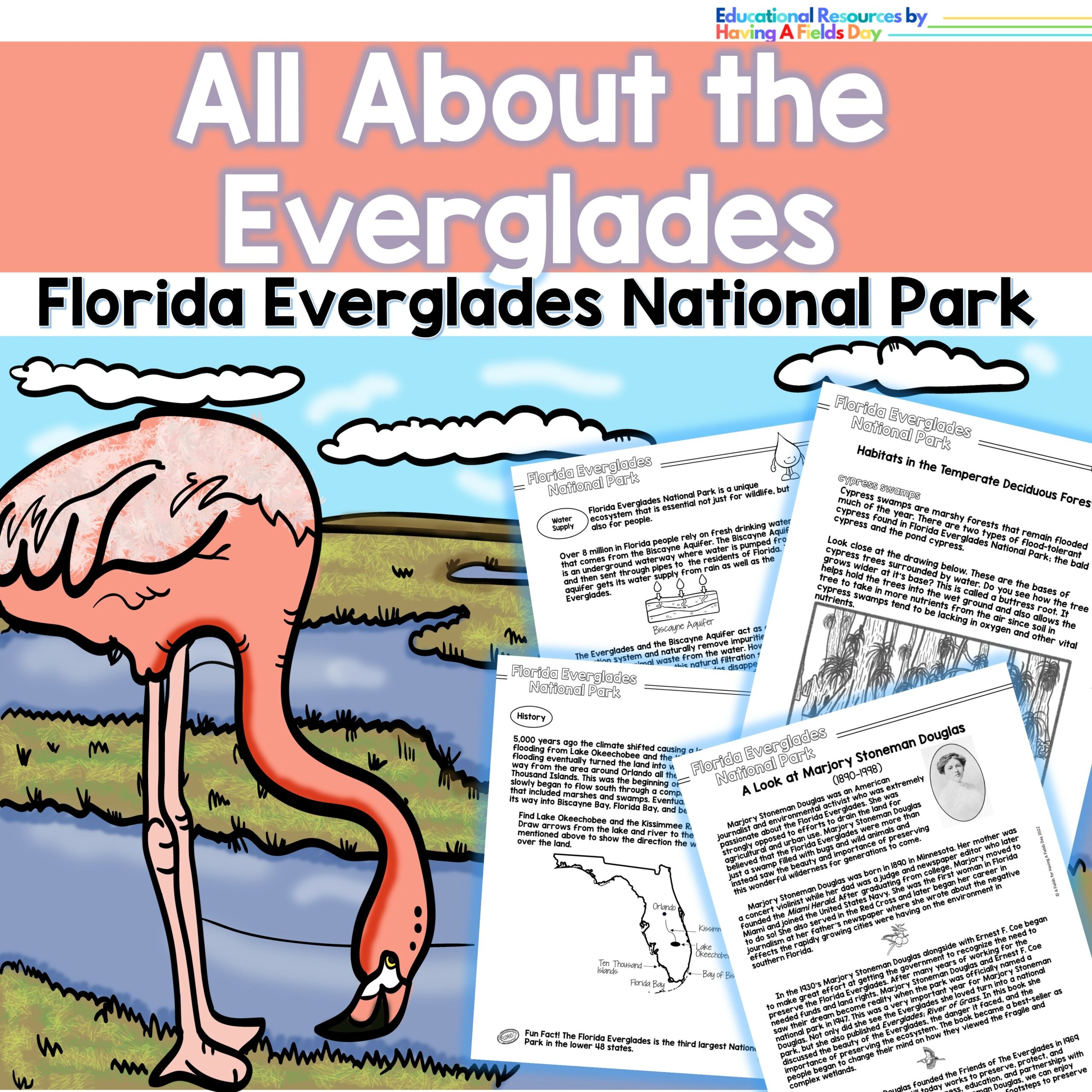 All About The Everglades Florida Everglades National Park Made By Teachers