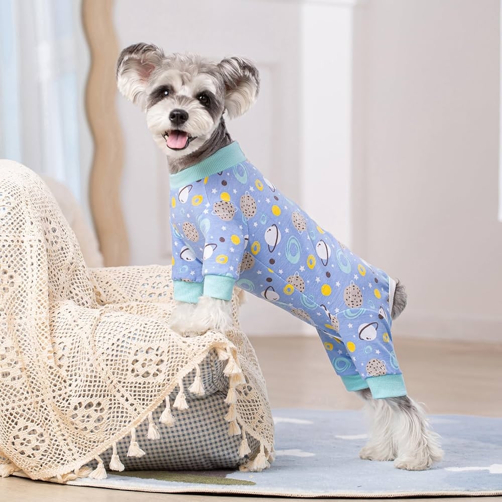 Free Printable Dog Dog Onesie Pattern