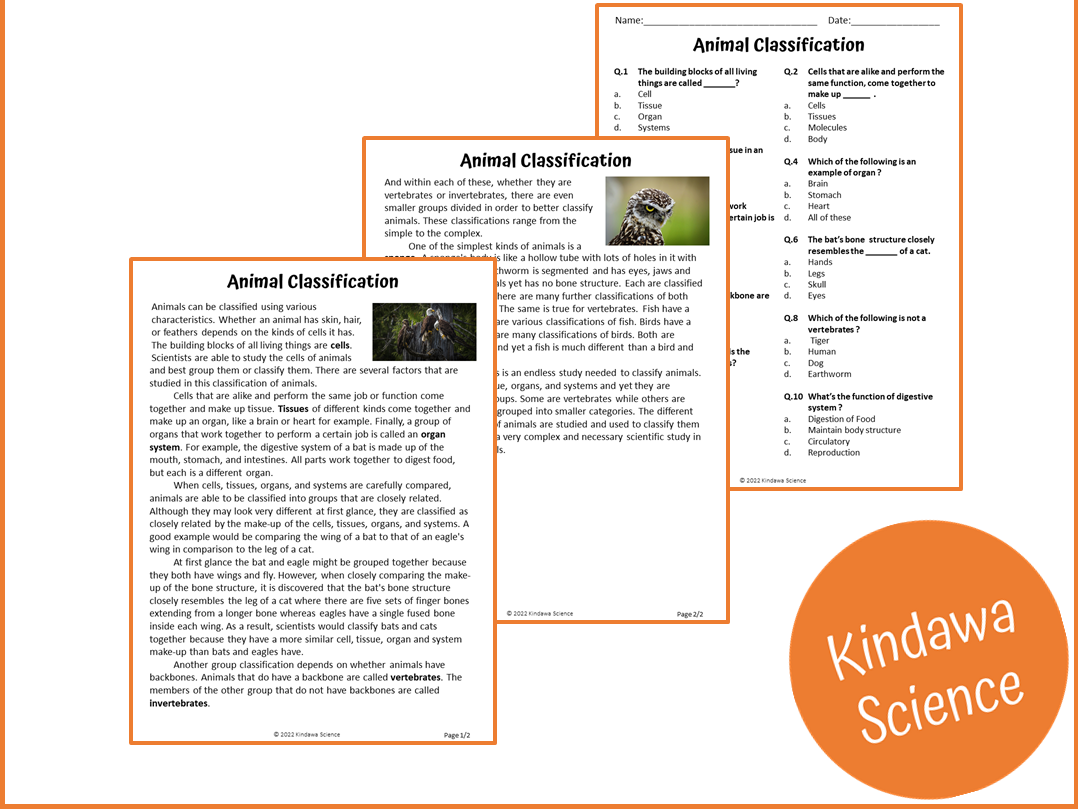 Animal Classification Reading Comprehension Passage And Questions PDF Teaching Resources