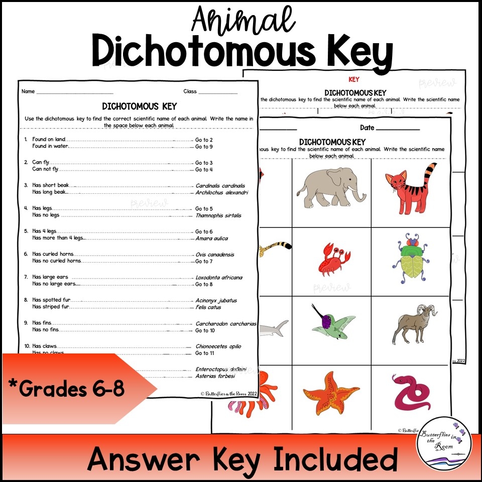 Taxonomy Classification Reading Comprehension Worksheet