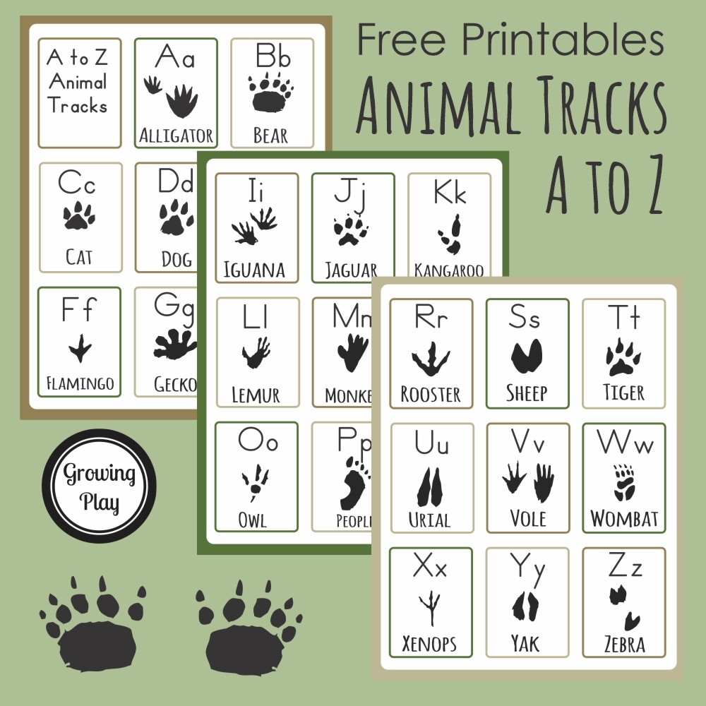 Animal Tracks A To Z FREE From Growing Play Square Growing Play