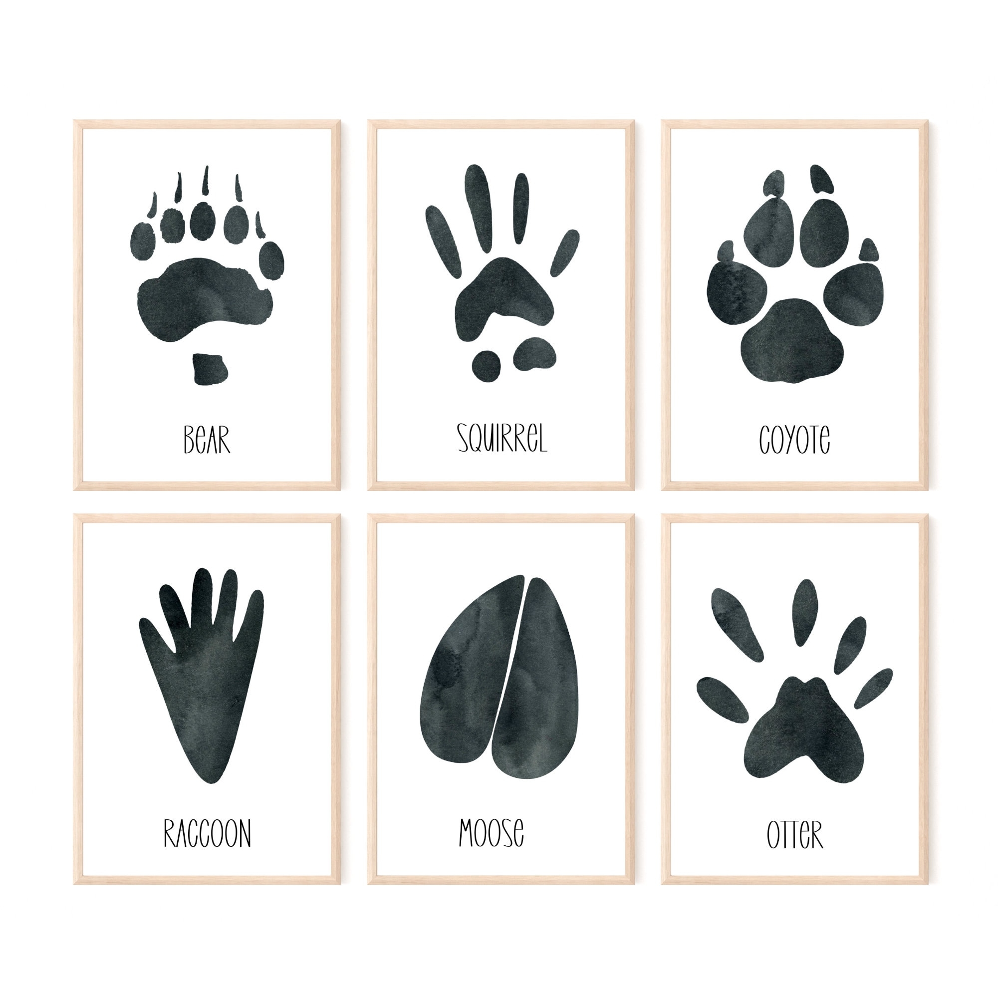 Animal Tracks Set Of 6 Animal Tracks Prints For Woodland Nursery 
