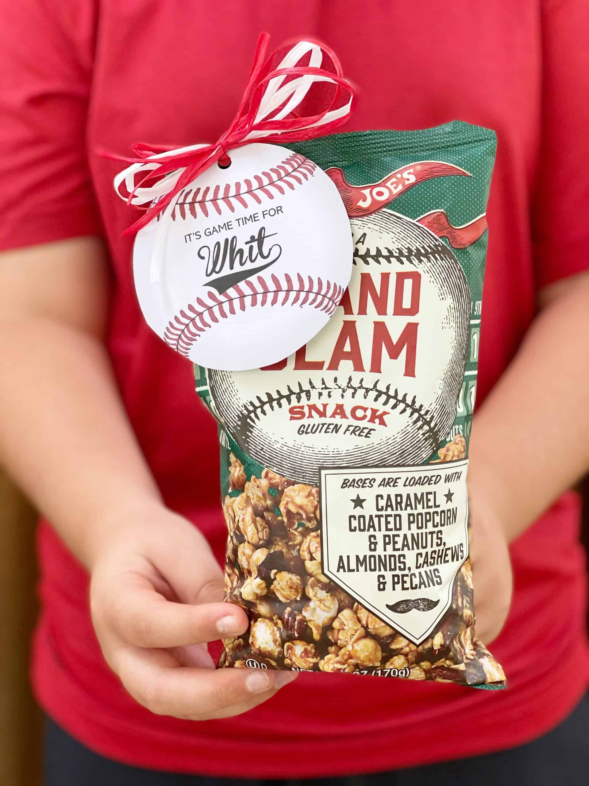 Back To Baseball Free Printable Dixie Delights