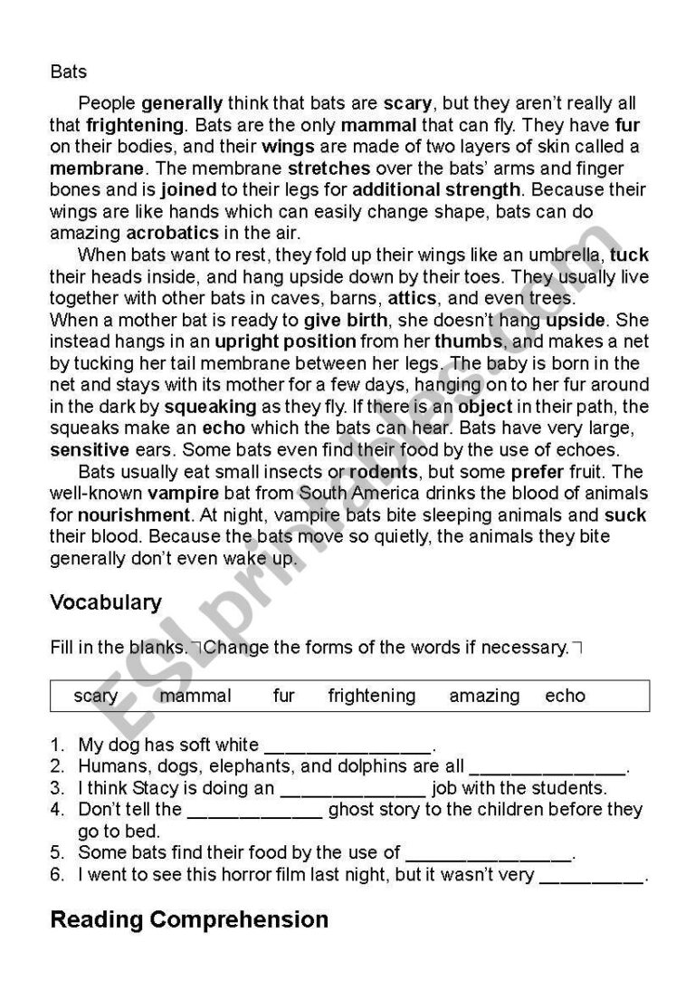 Bats Reading Comprehension ESL Worksheet By Kangaroo1106