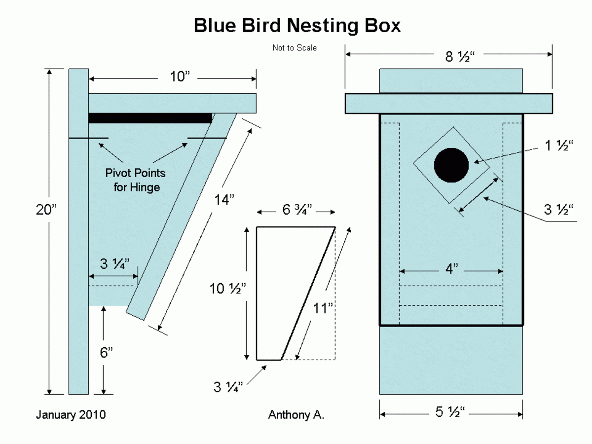 Bluebird Birdhouse Plans How To Build A Peterson Slant Front 