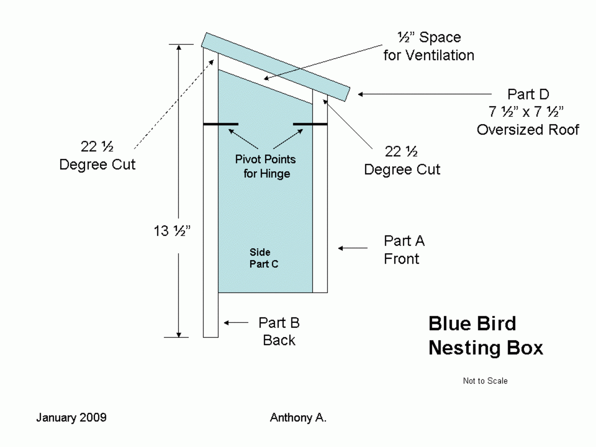 Bluebird House Plans How To Build A Simple DIY Bluebird House 