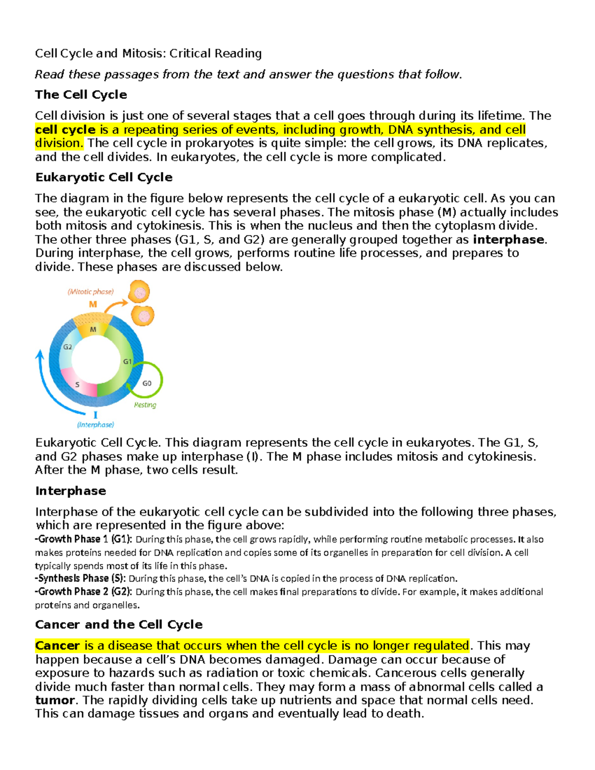 Cell Cycle And Mitosis Reading Cell Cycle And Mitosis Critical 