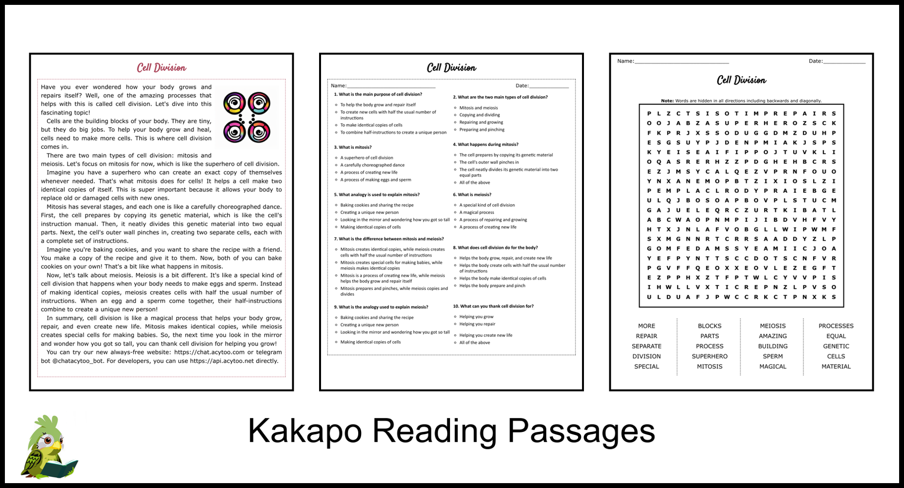 Mitosis Reading Comprehension Worksheet