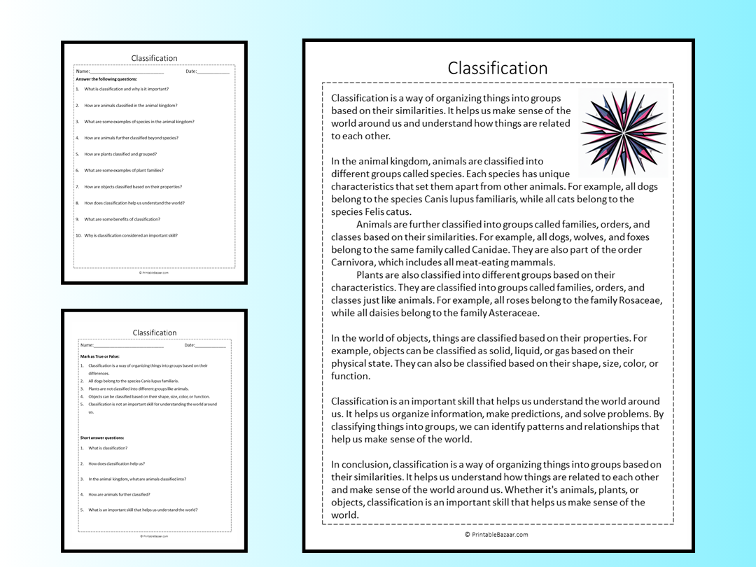 Classification Reading Comprehension Passage Printable Worksheet Teaching Resources