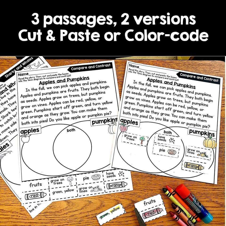 Reading Comprehension Worksheet Teacher Vine