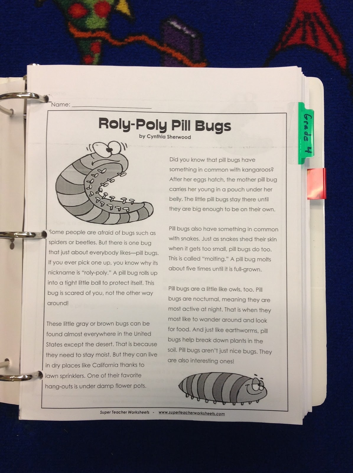 Comprehension Binder Organization For RtI Conversations In Literacy