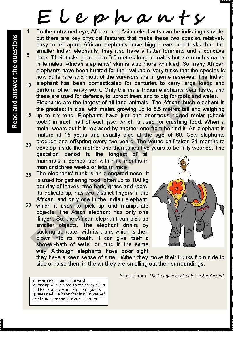 ELEPHANTS Reading Comprehension Varied Questions And Vocabulary 