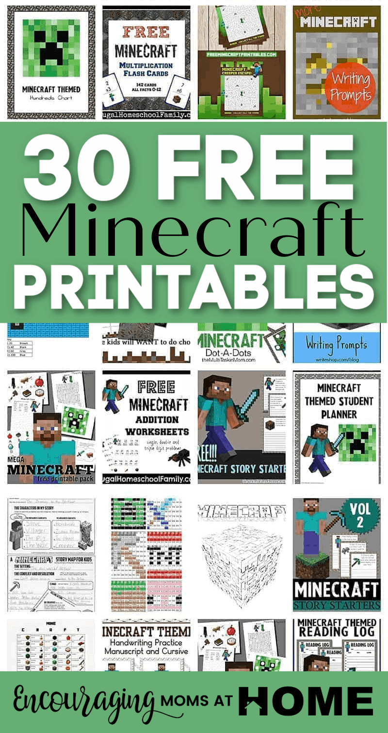 Minecraft Reading Comprehension Worksheets