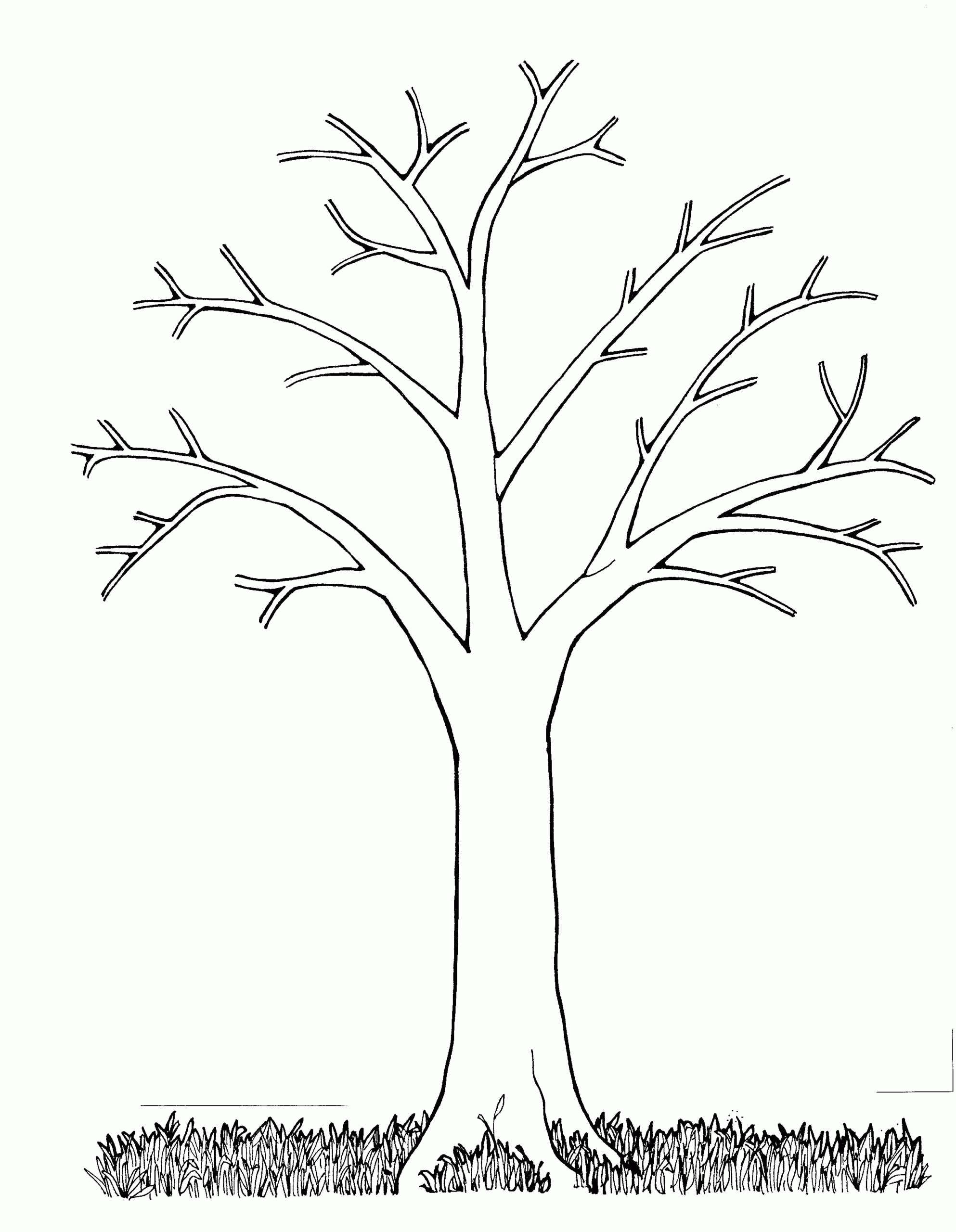 Free Bare Tree Coloring Pages Download Free Bare Tree Coloring Pages Png Images Free ClipArts On Clipart Library