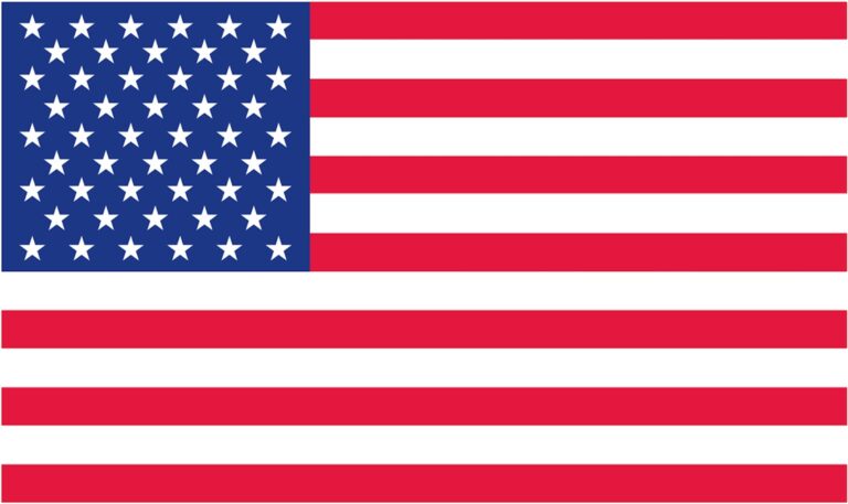 FREE Printable US Flags U0026 American Flag Color Book Pages
