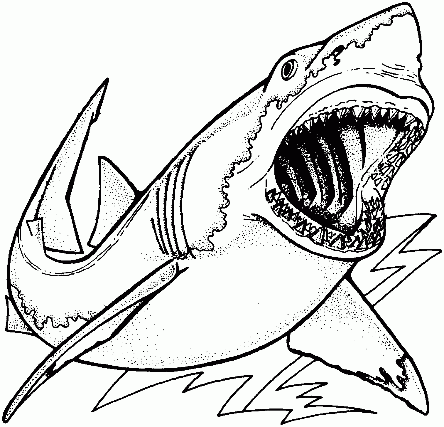 Free Shark Printables