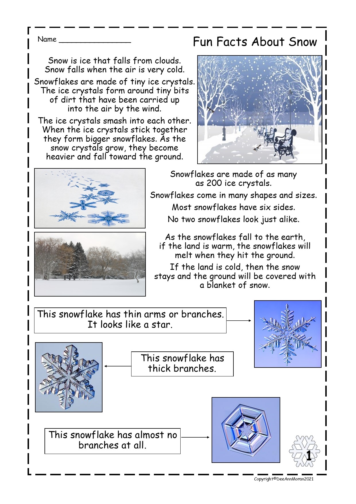 Fun Facts About Snow Reading Comprehension Passage Made By Teachers