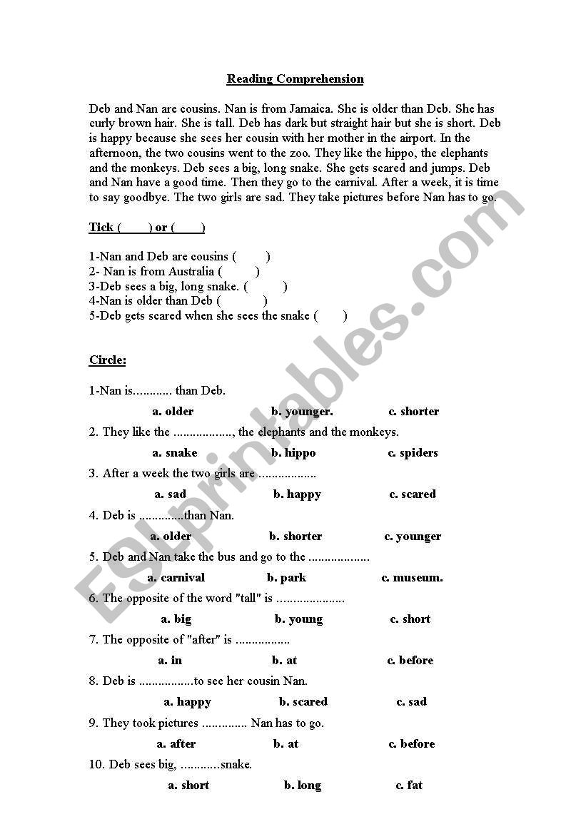 Reading Comprehension Worksheets Grade 5 Australia