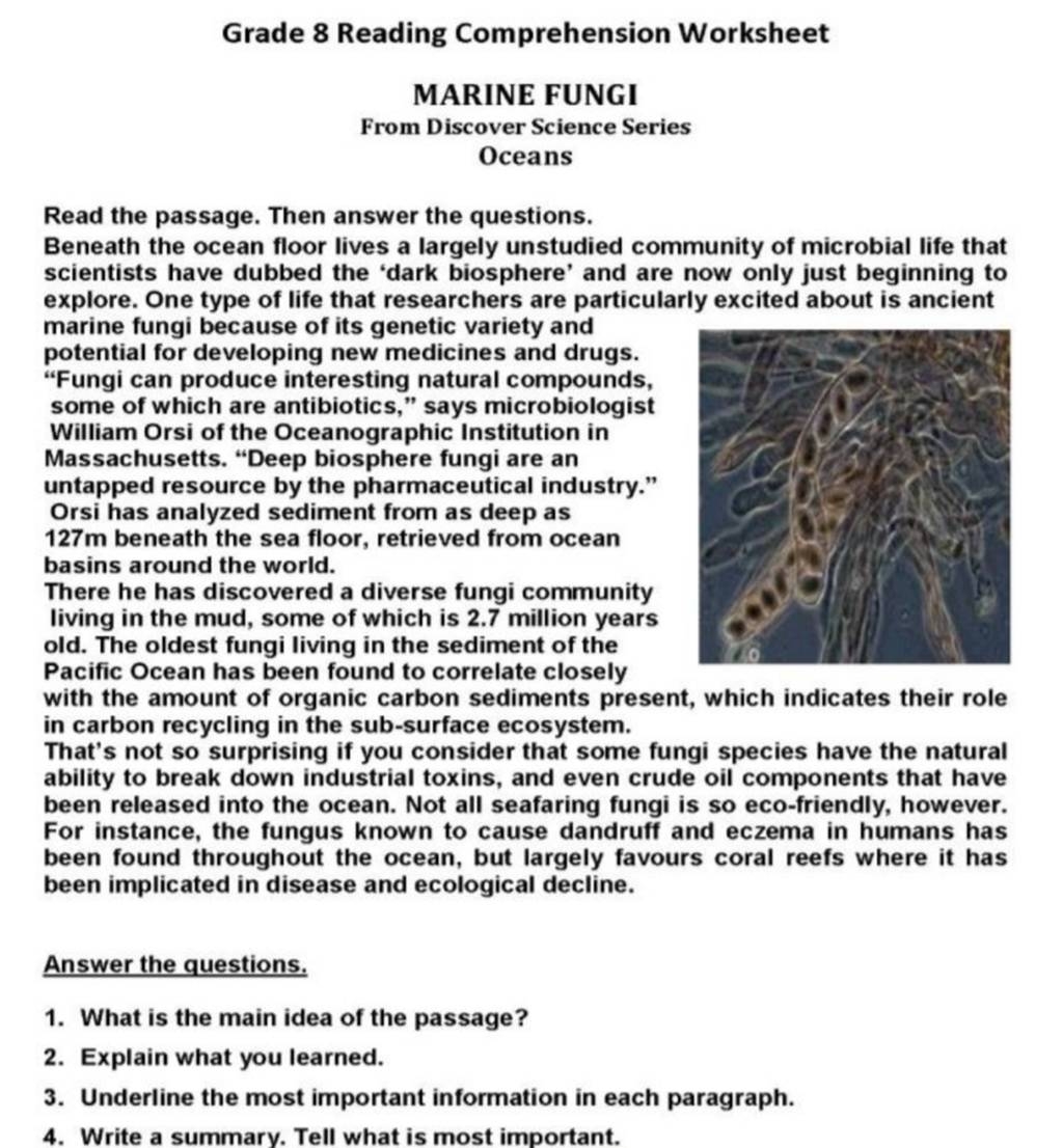 Reading Comprehension Worksheet Grade 8