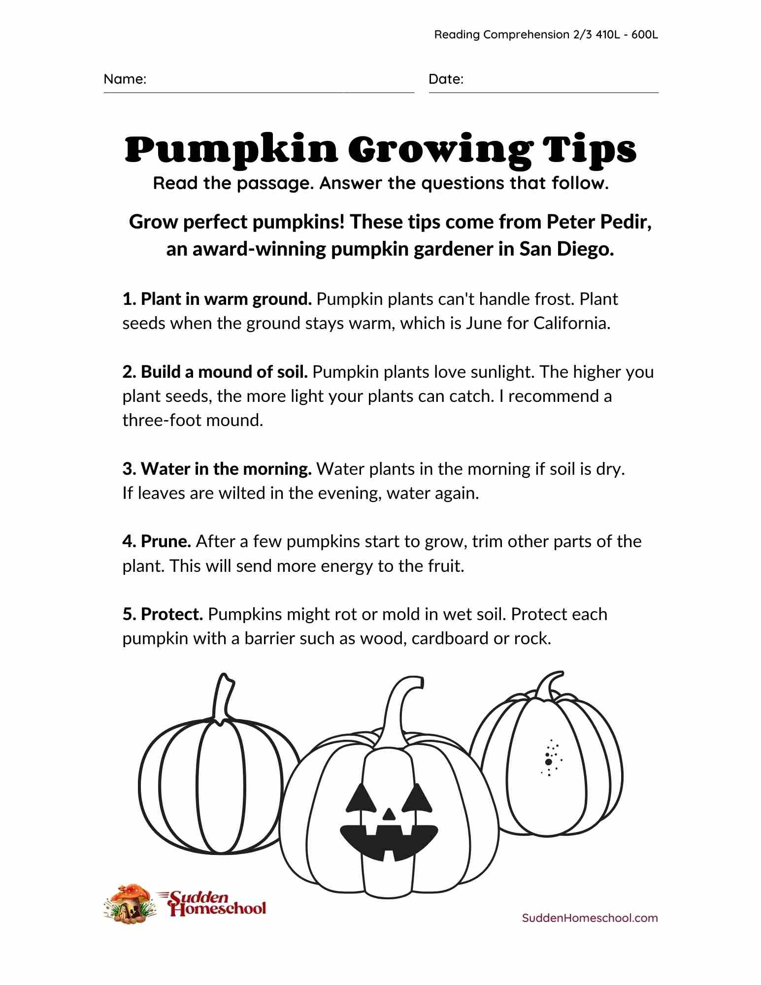 Halloween Reading Comprehension Grades 2 And 3 Worksheets Library