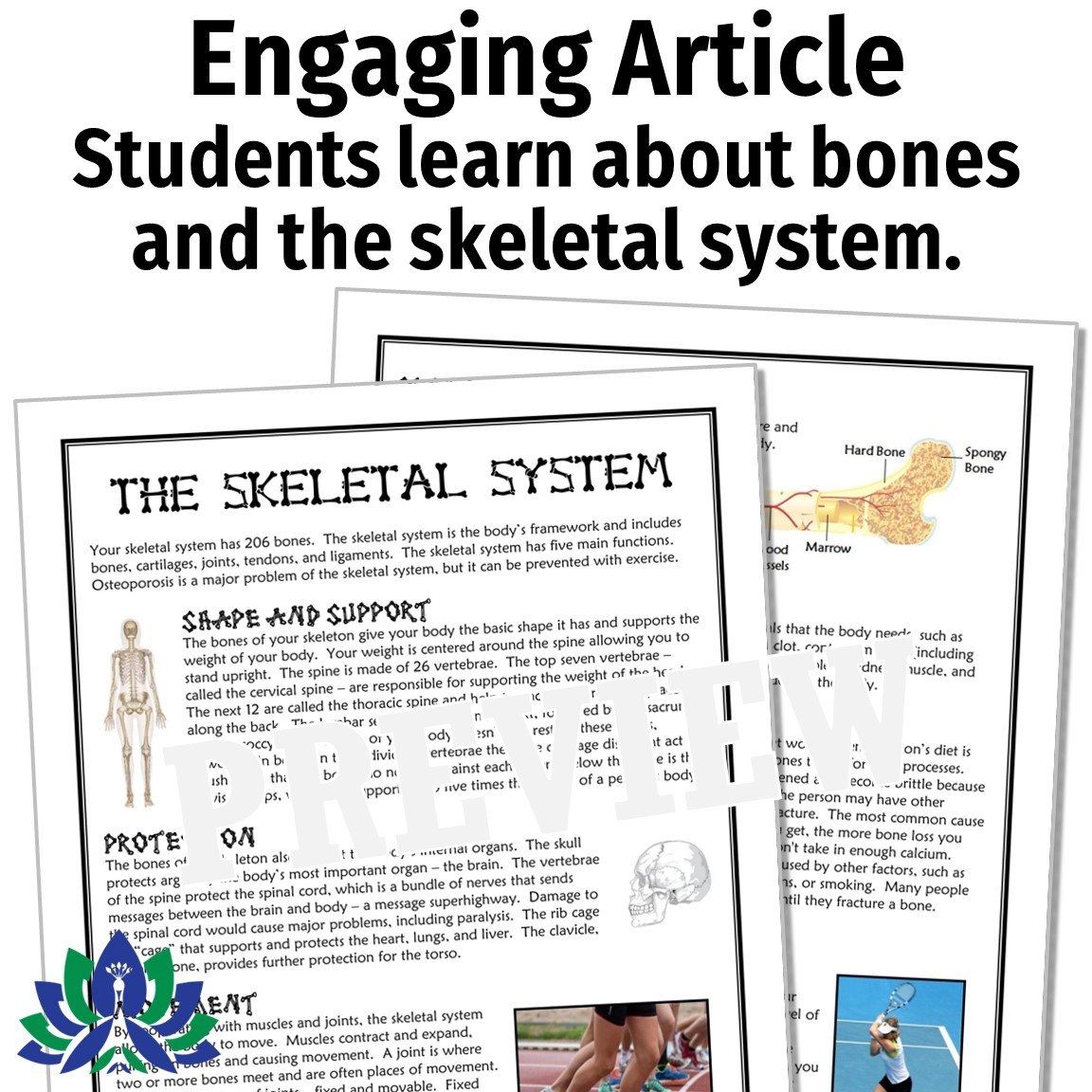 Halloween Science Reading Passage Skeletal System And Bones Flying Colors Science