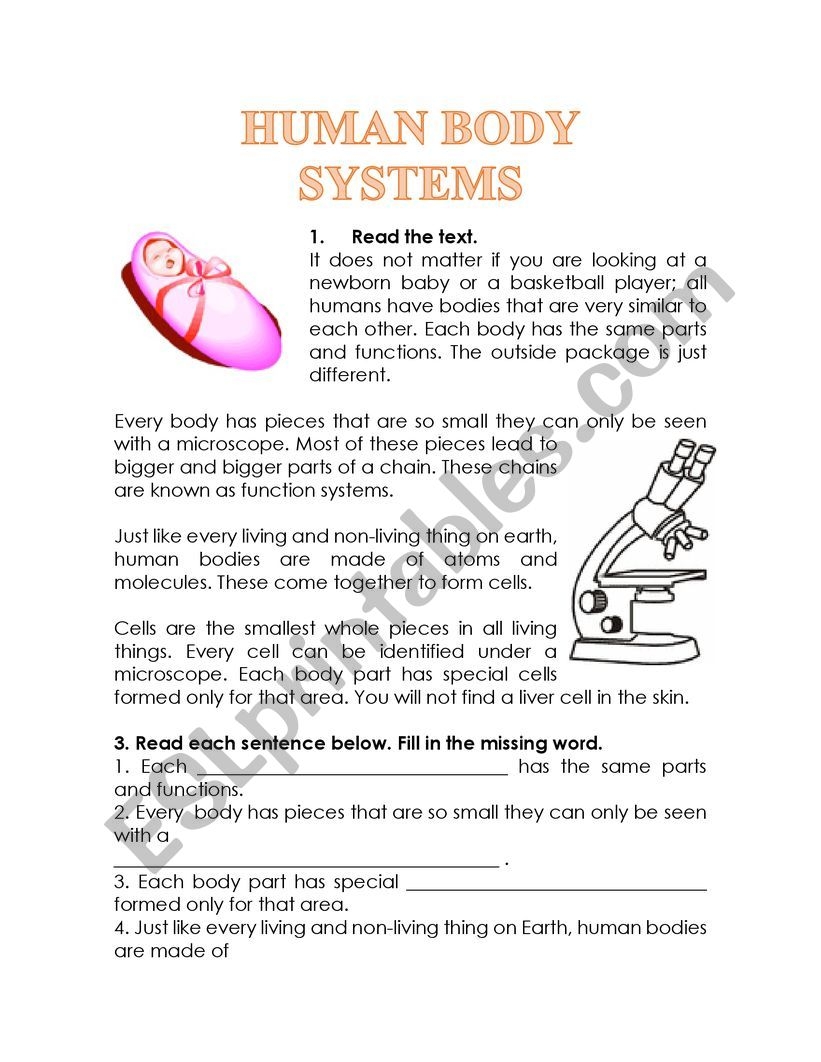 Reading Comprehension Worksheets Human Body