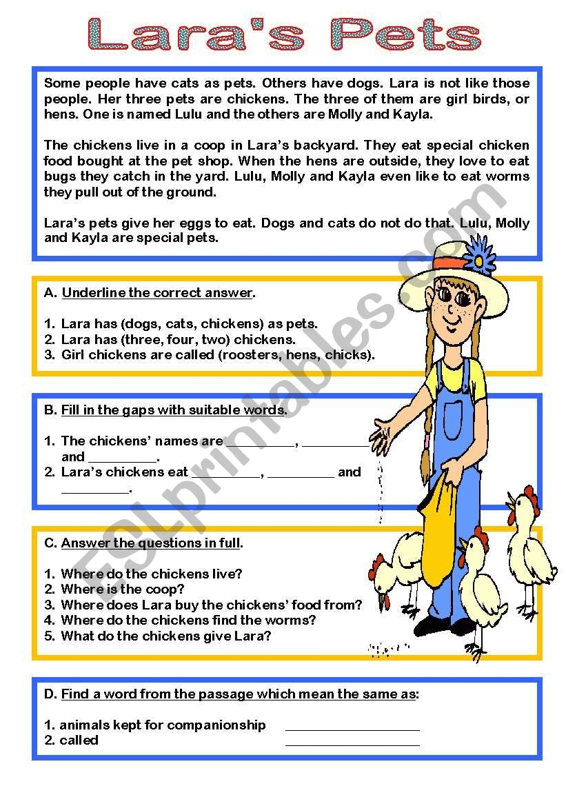 Lara s Pets Reading Comprehension ESL Worksheet By Janet Att