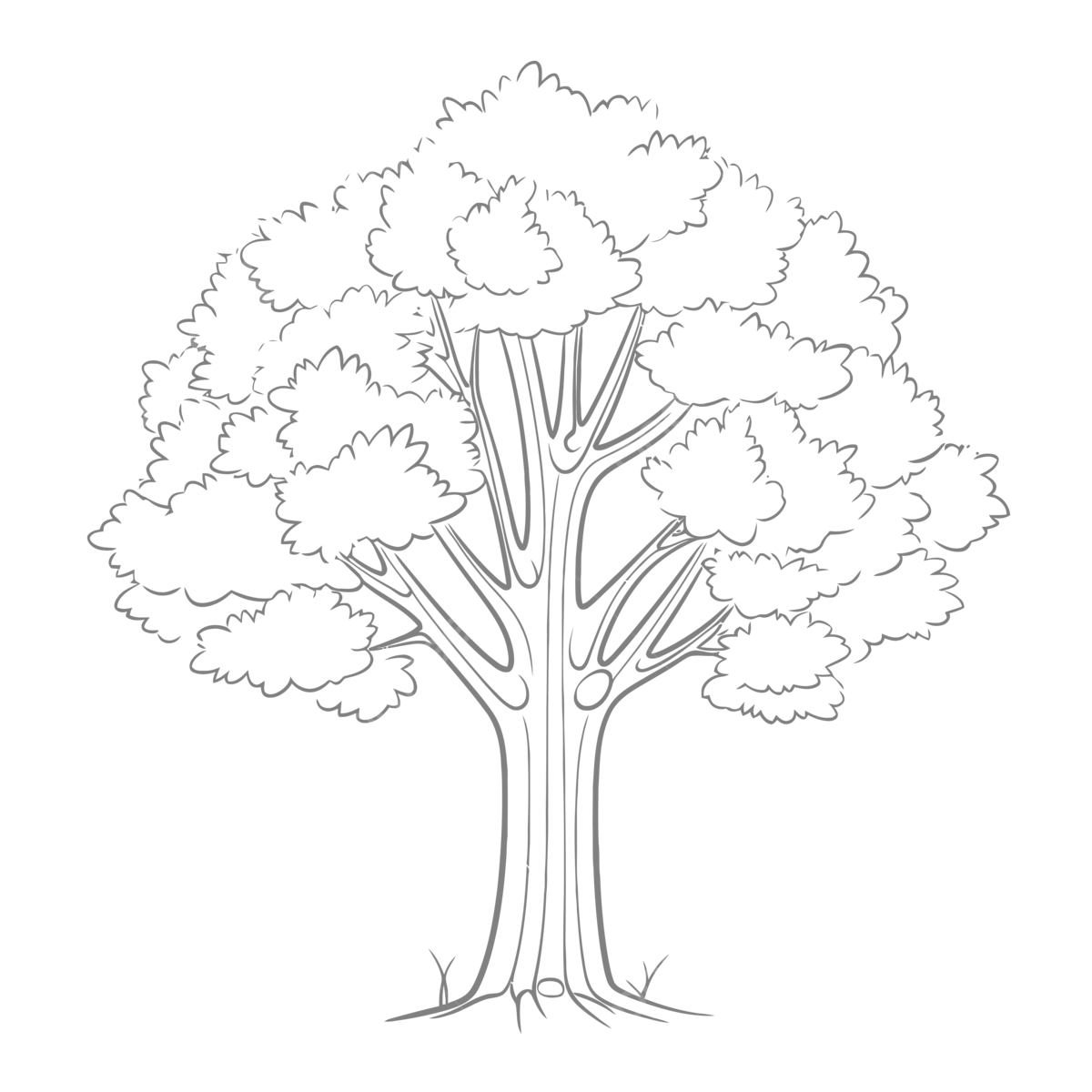 Large Tree Coloring Page Free Printable Coloring Pages Outline Sketch Drawing Vector Tree Drawing Wing Drawing Ring Drawing PNG And Vector With Transparent Background For Free Download