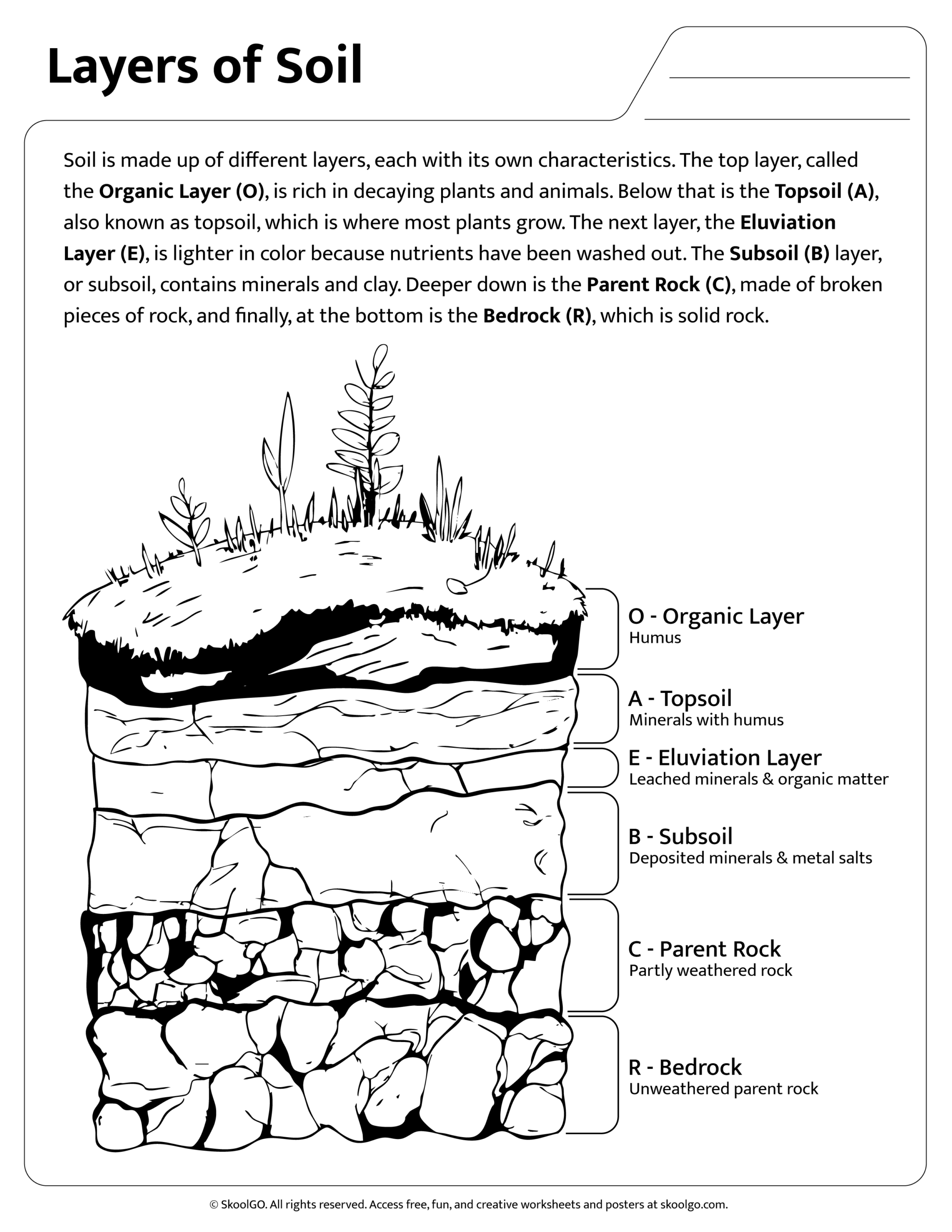 Soil Reading Comprehension Worksheet