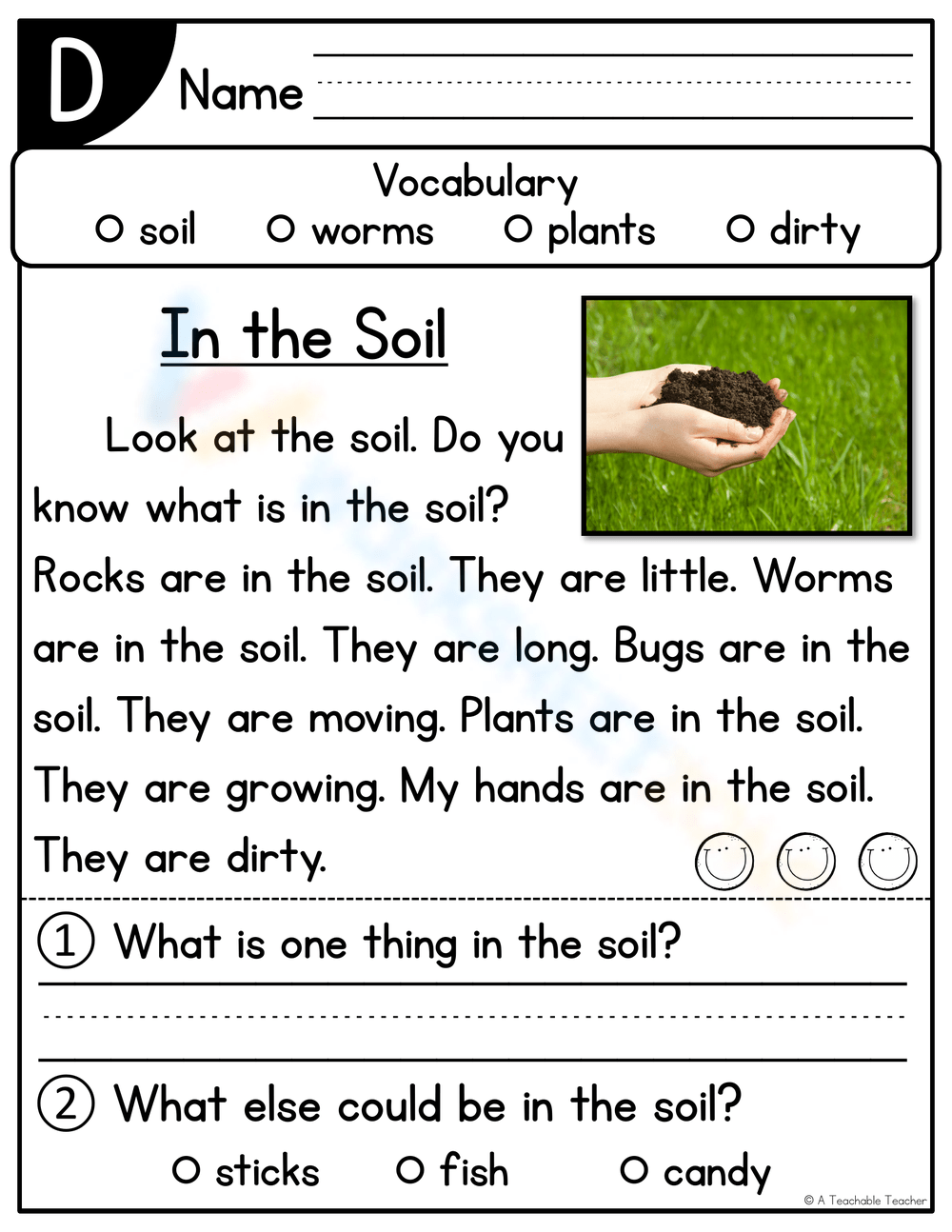 Level D Reading Comprehension Worksheets 2025