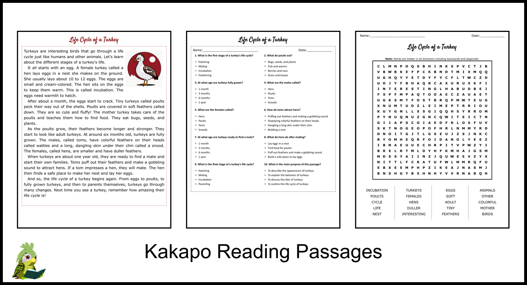 Life Cycle Of A Turkey Reading Comprehension And Word Search Teaching Resources