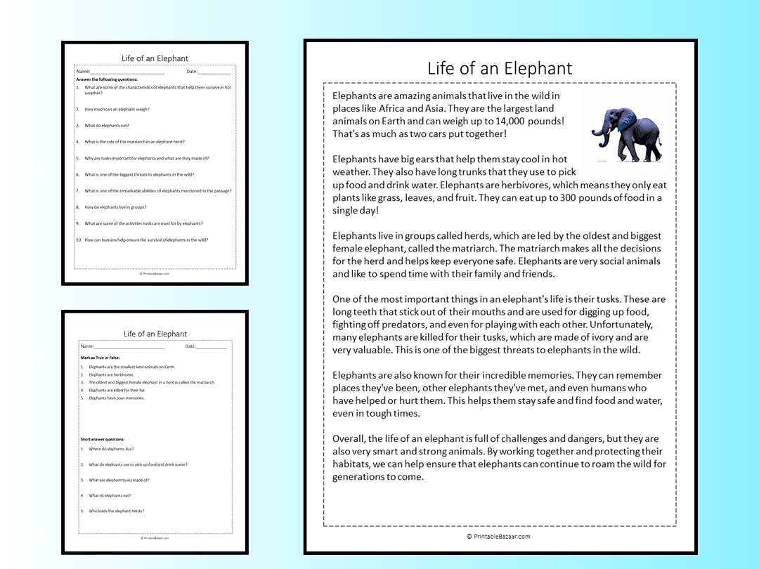 Reading Comprehension Worksheets Elephants