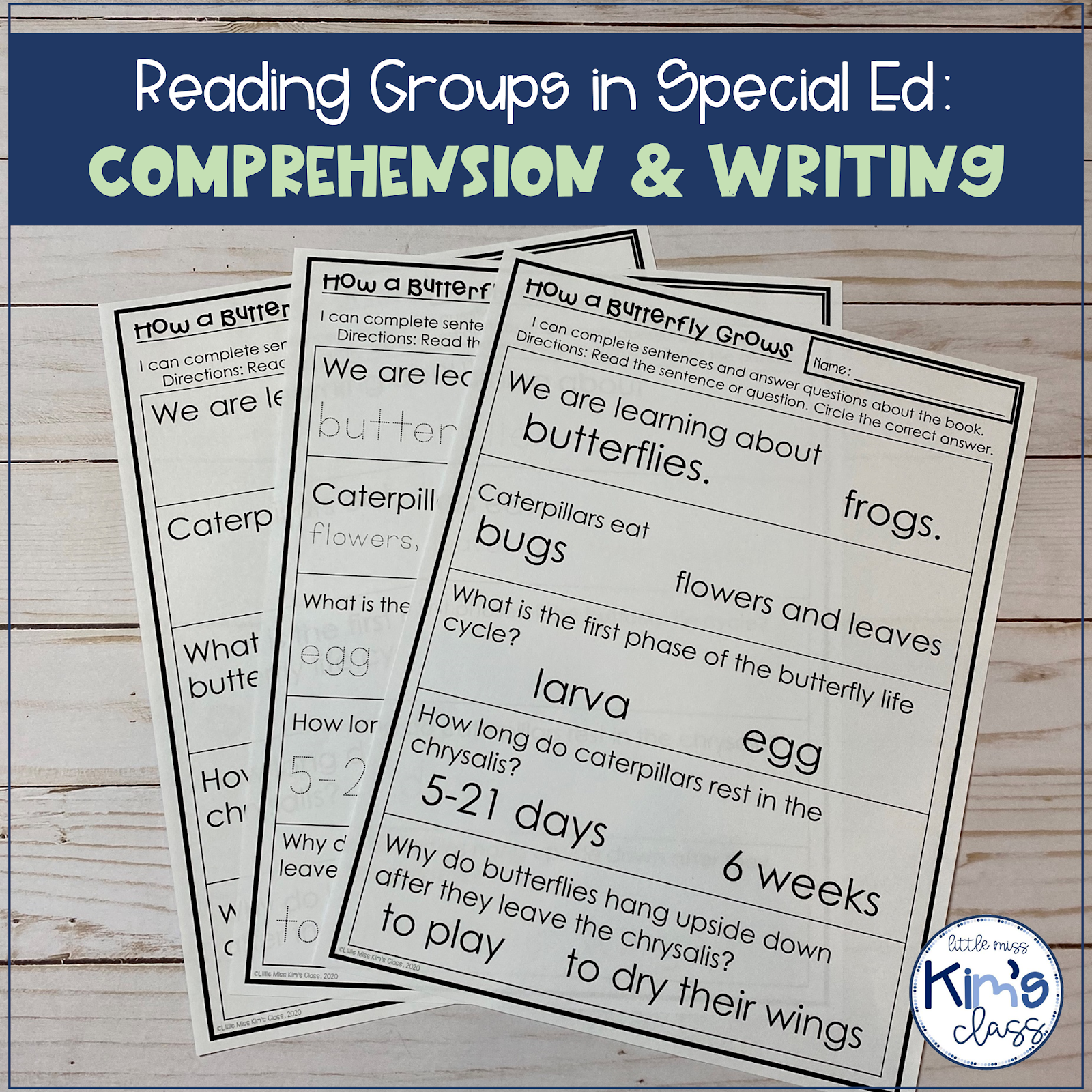 Special Ed Reading Comprehension Worksheets