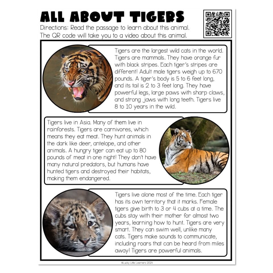 Lucky To Learn Writing Unit 3 Informational Week 6 Animal Report Research Passages All About Tigers Lucky Little Learners