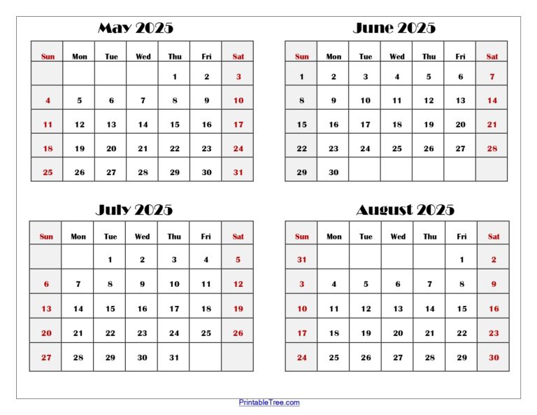 May To August 2025 Calendar Printable PDF Four Months Calendar