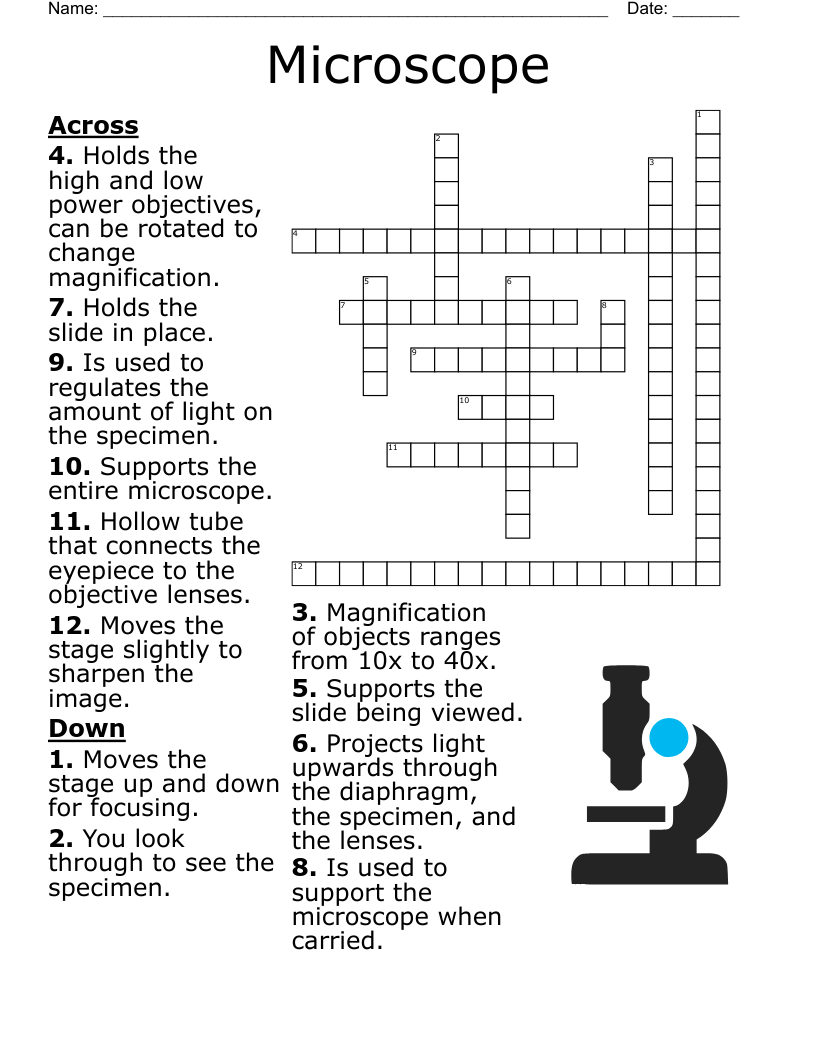 Microscope Term Matching Worksheet WordMint