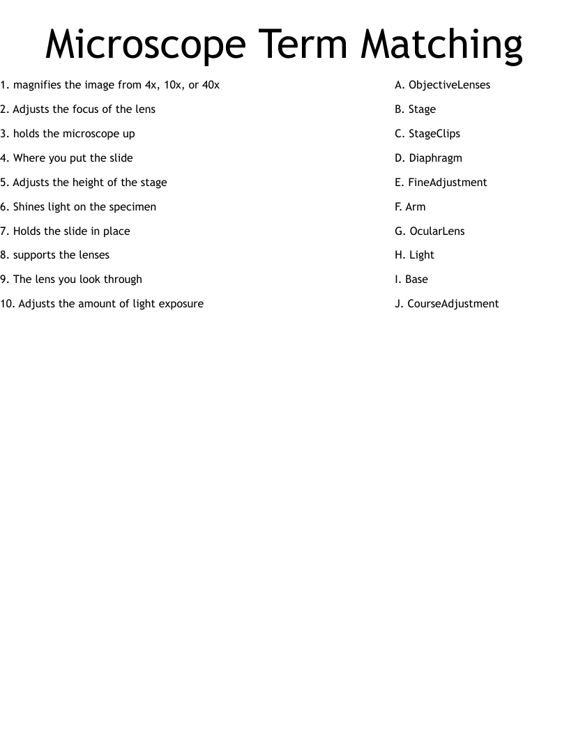 Microscope Term Matching Worksheet WordMint