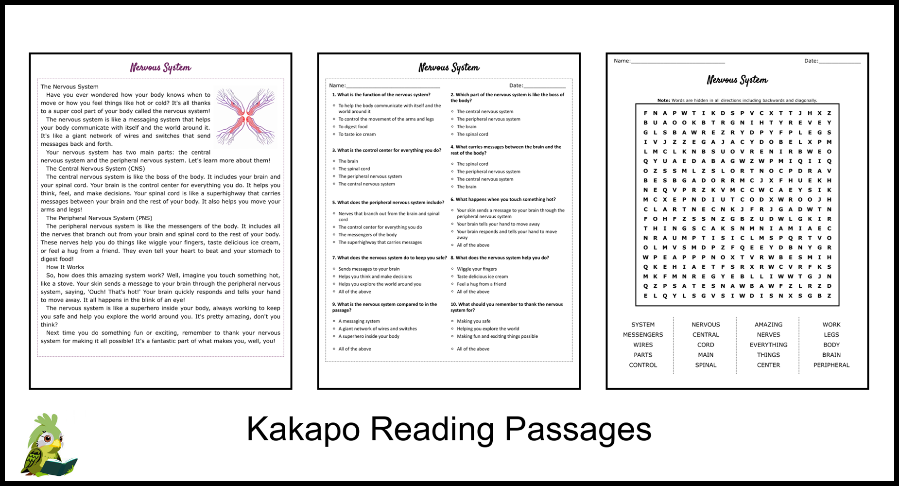 Nervous System Reading Comprehension Worksheet