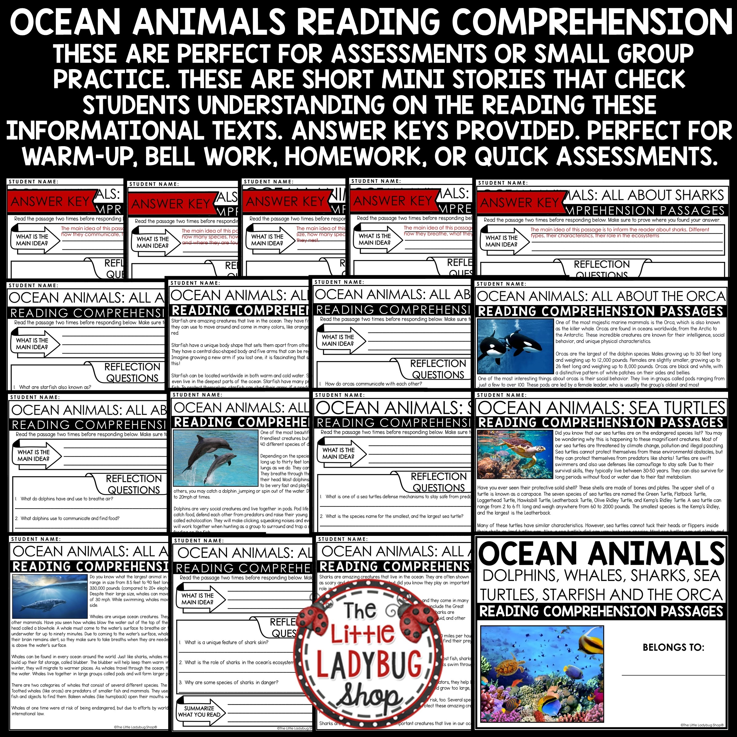 Sea Animals Reading Comprehension Worksheet