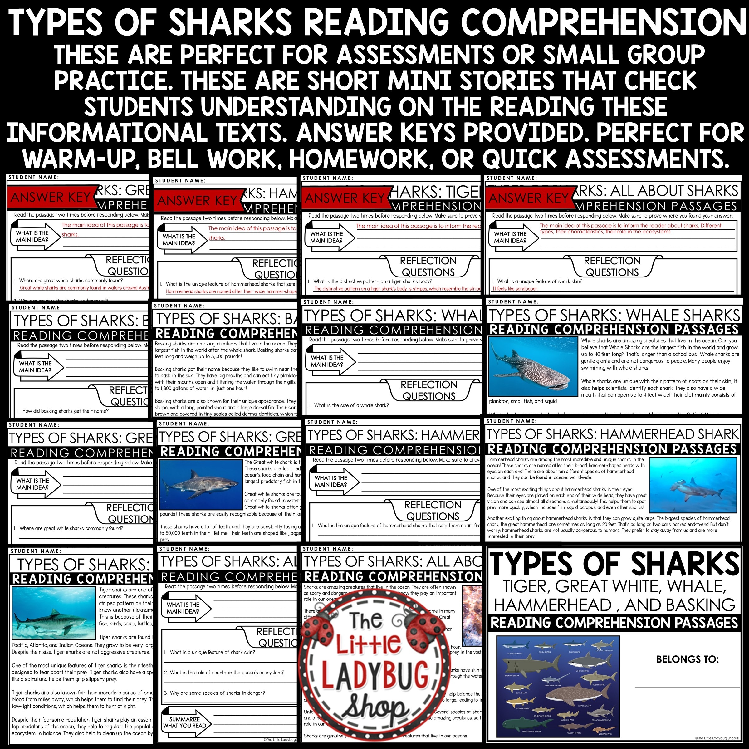 Ocean Animals Sharks Reading Passages The Little Ladybug Shop