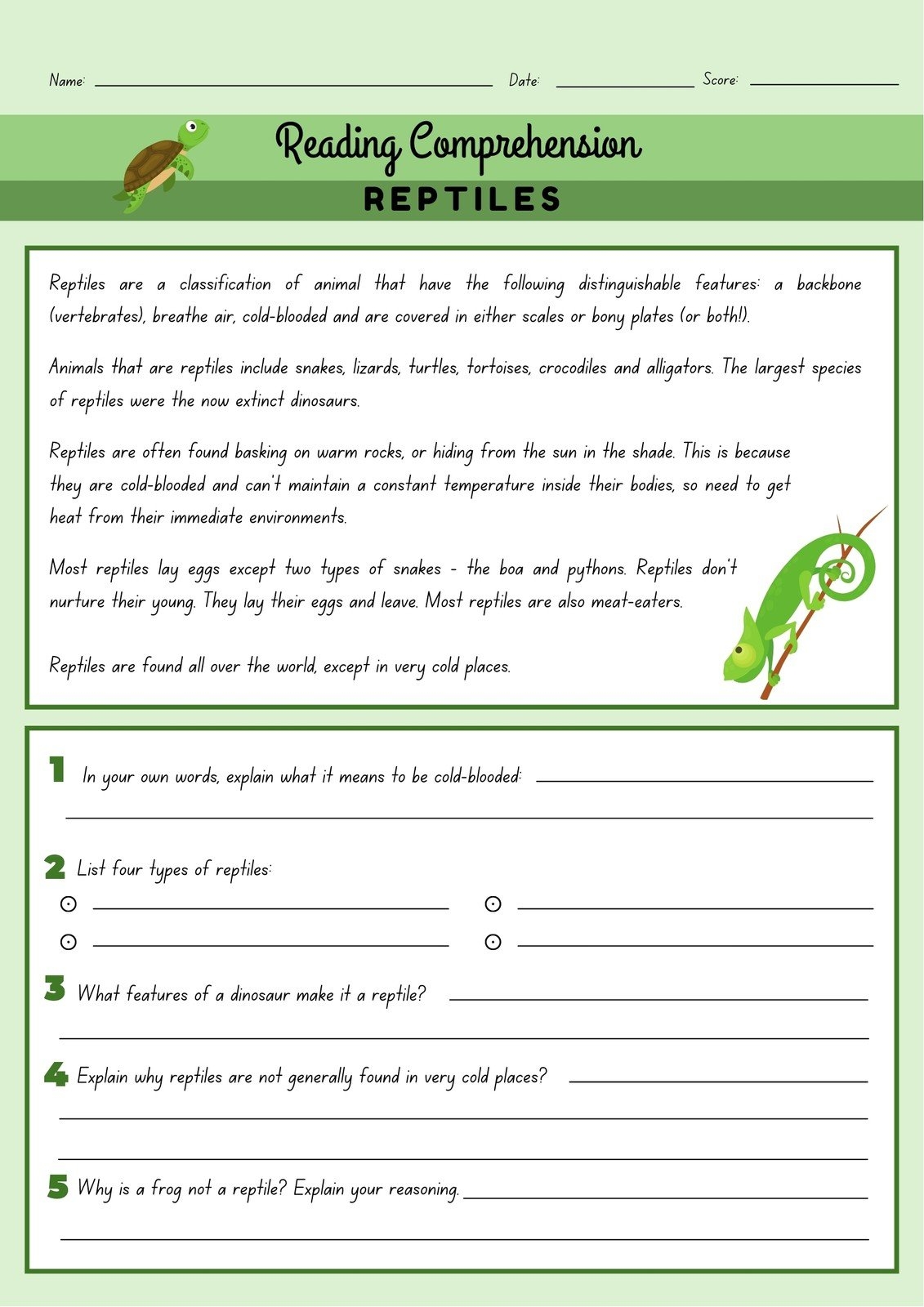 Page 9 Free Custom Printable Science Worksheet Templates Canva