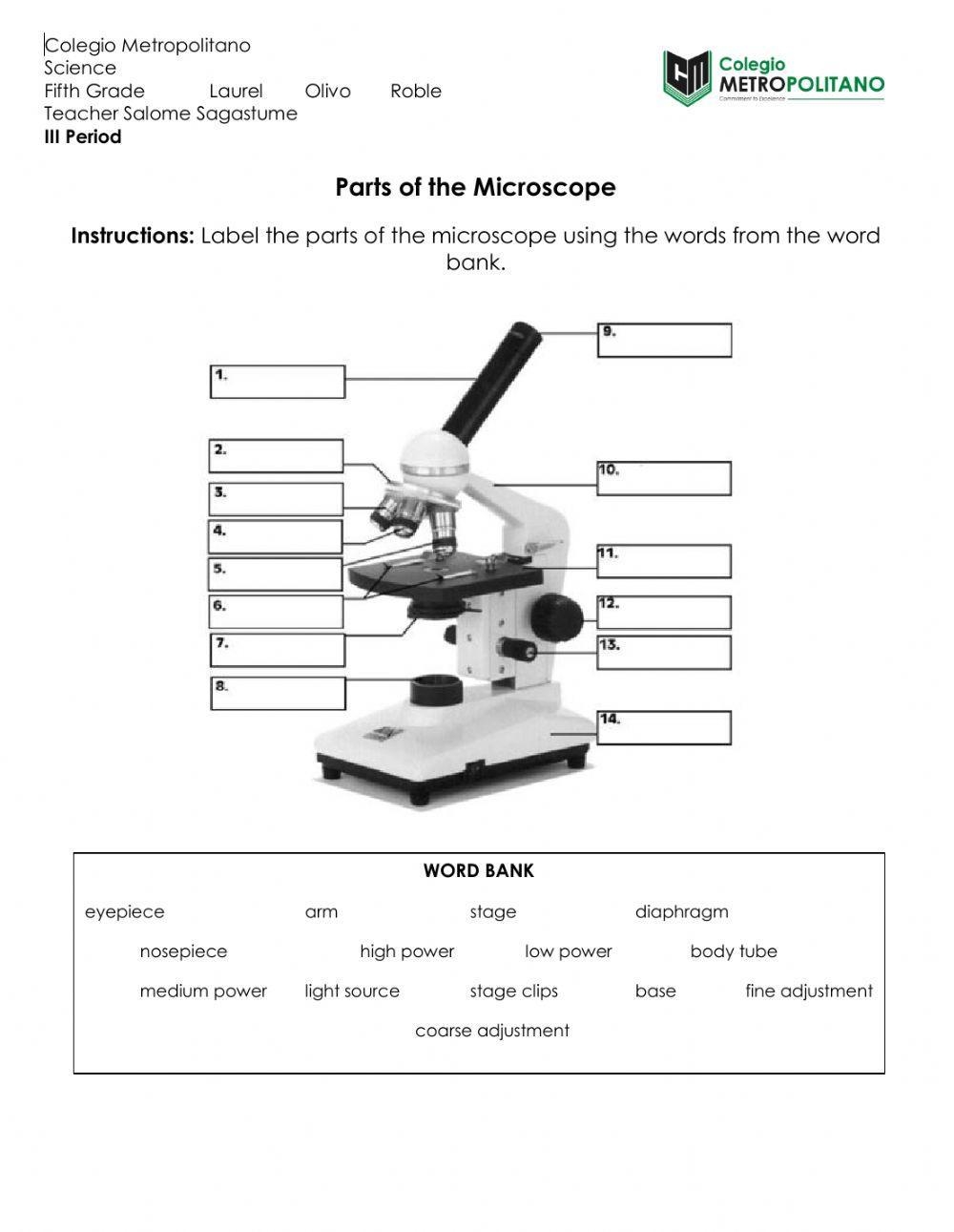 Microscope Reading Comprehension Worksheet