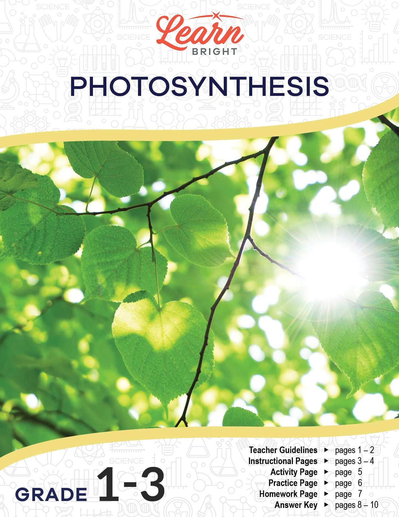 Photosynthesis Reading Comprehension Worksheet Pdf