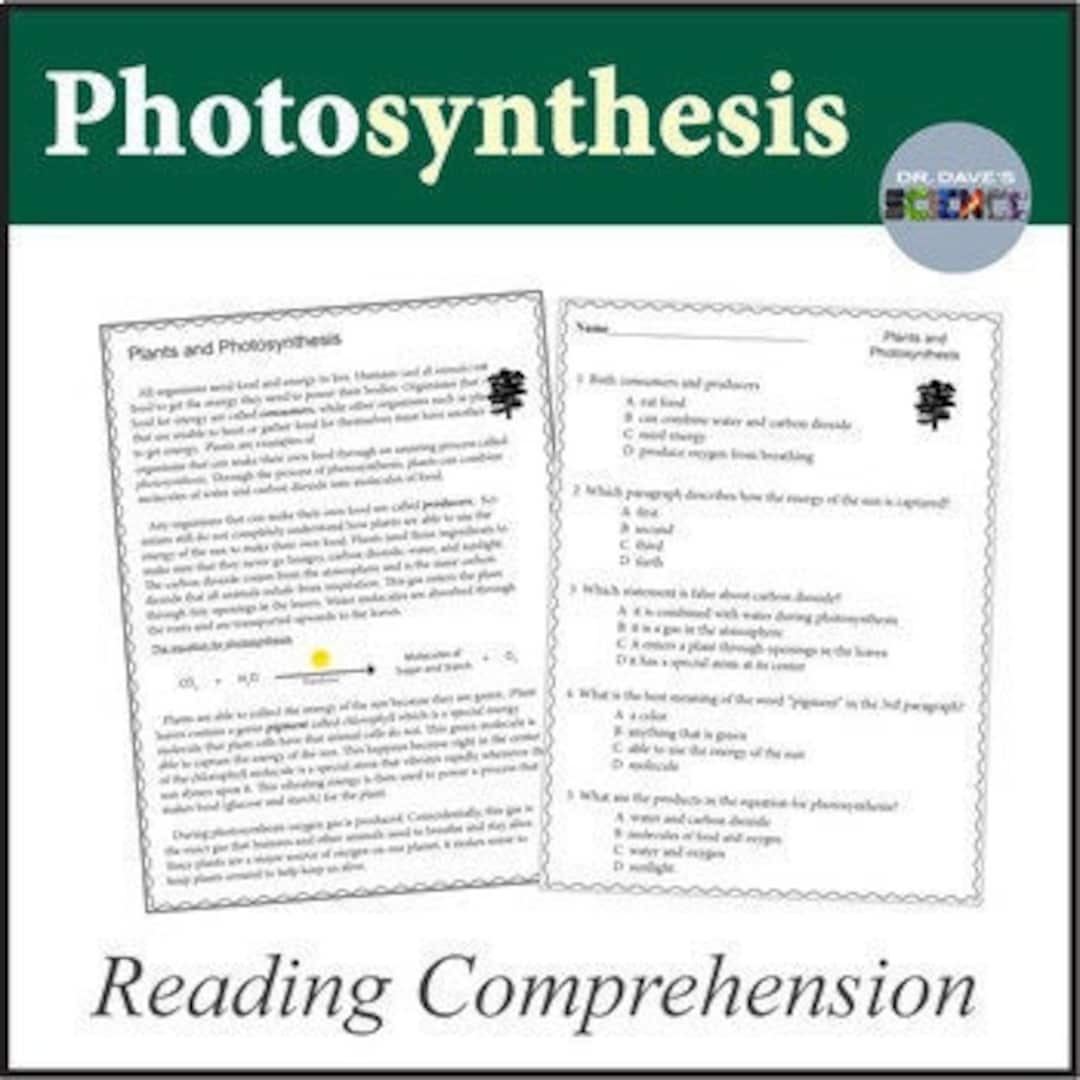 Photosynthesis Reading Comprehension Etsy