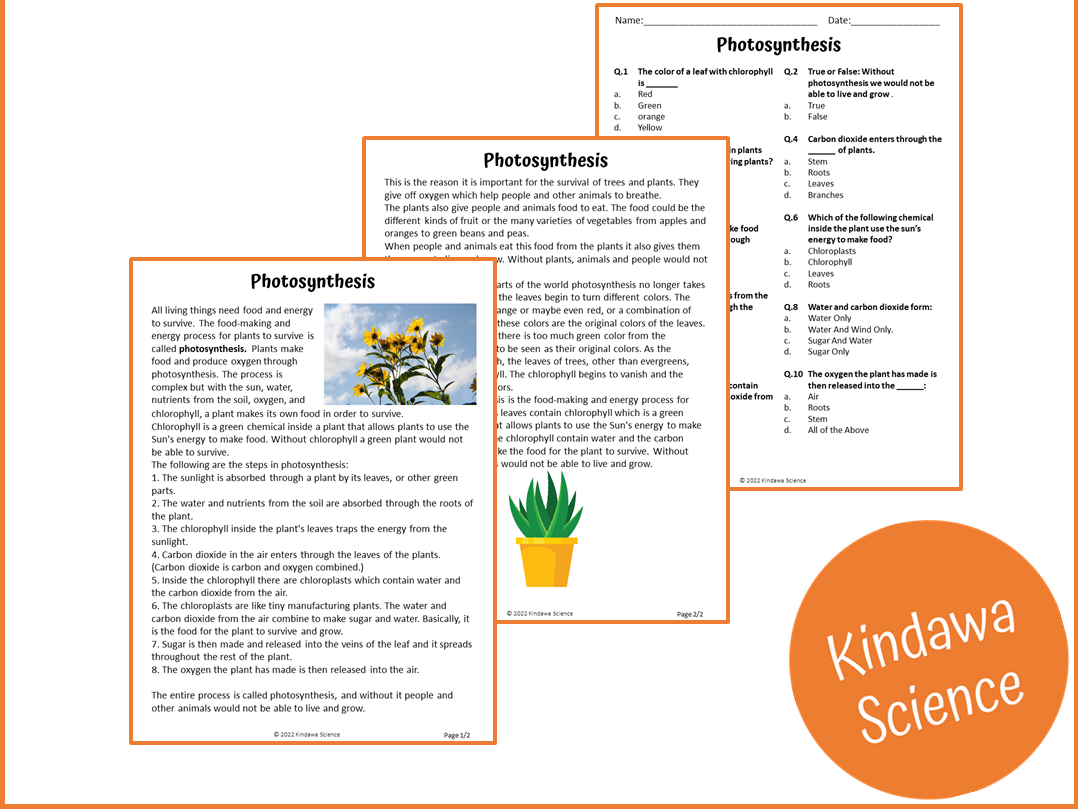 Photosynthesis Reading Comprehension Passage And Questions PDF Teaching Resources