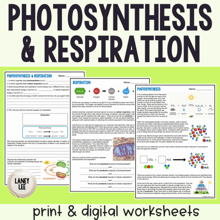 Photosynthesis U0026 Respiration Reading Comprehension Worksheets