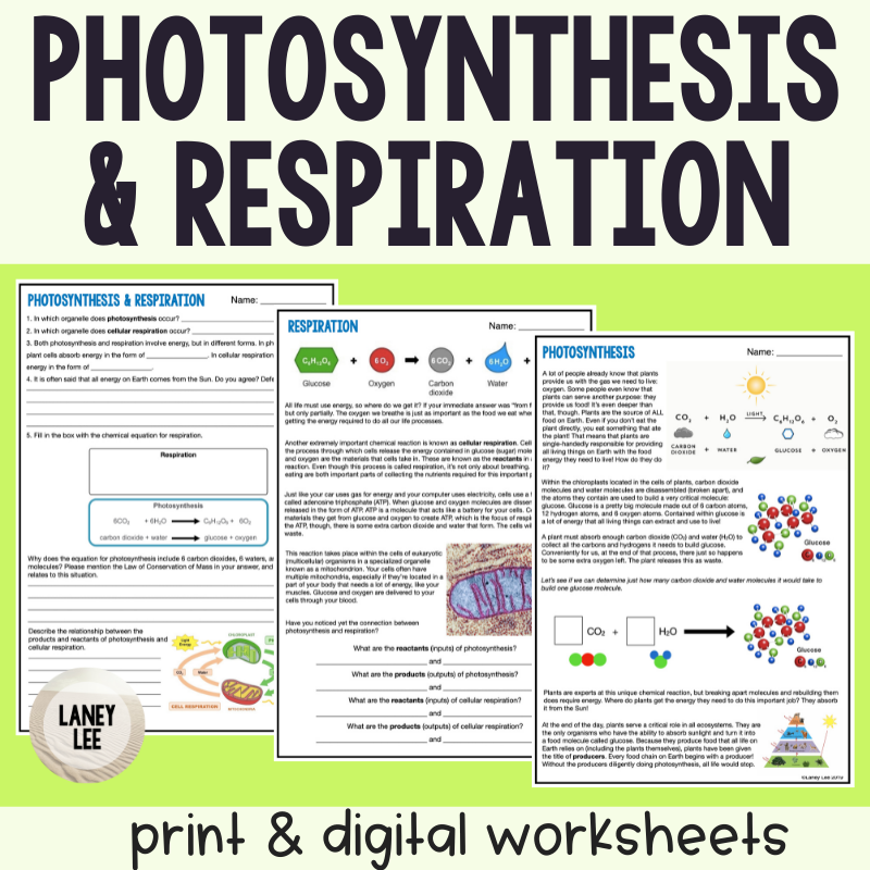 Photosynthesis U0026 Respiration Reading Comprehension Worksheets